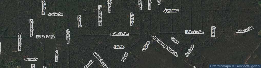 Zdjęcie satelitarne Bolka i Lolka ul.